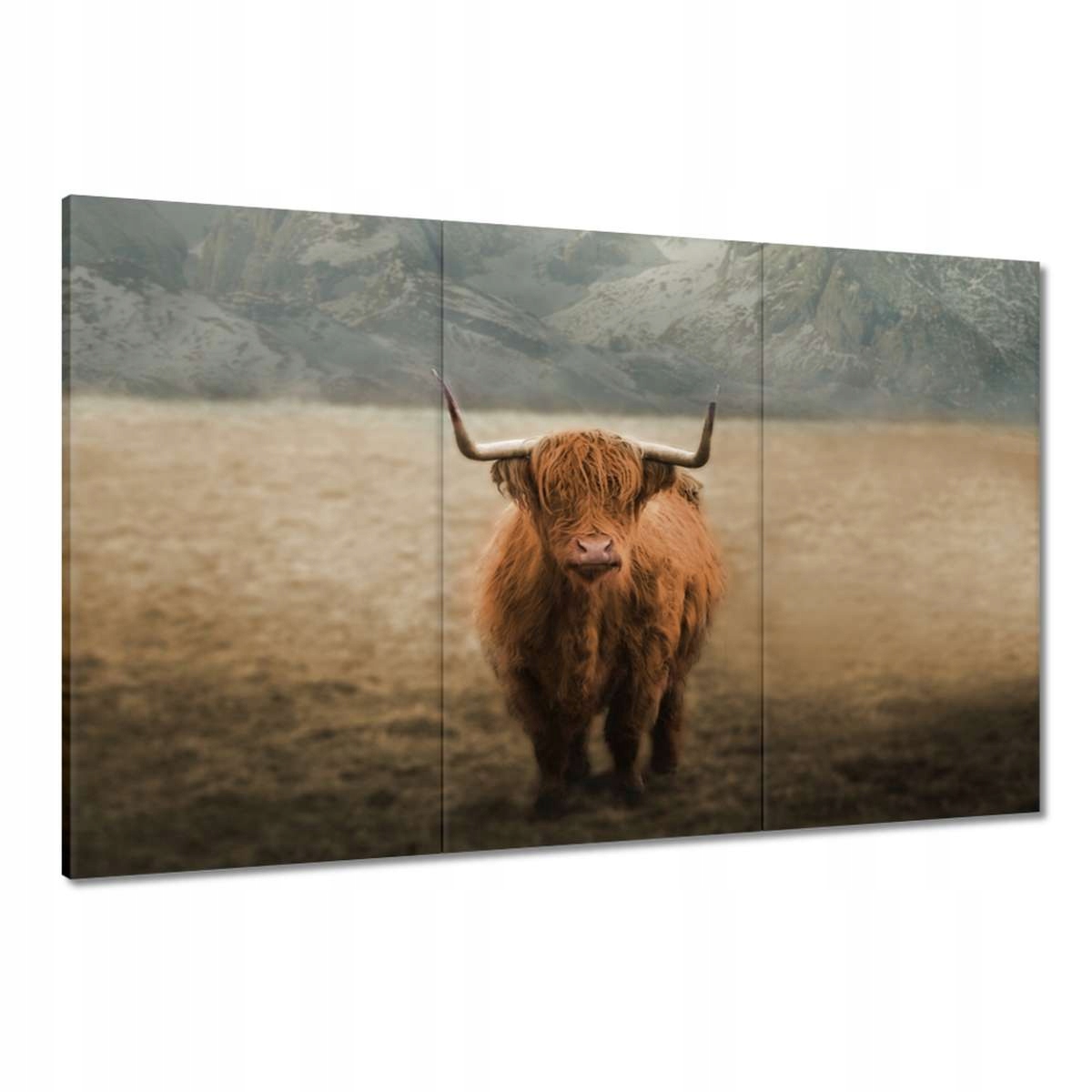 Obrazy 120x80 Jako rohatý skot Rohy