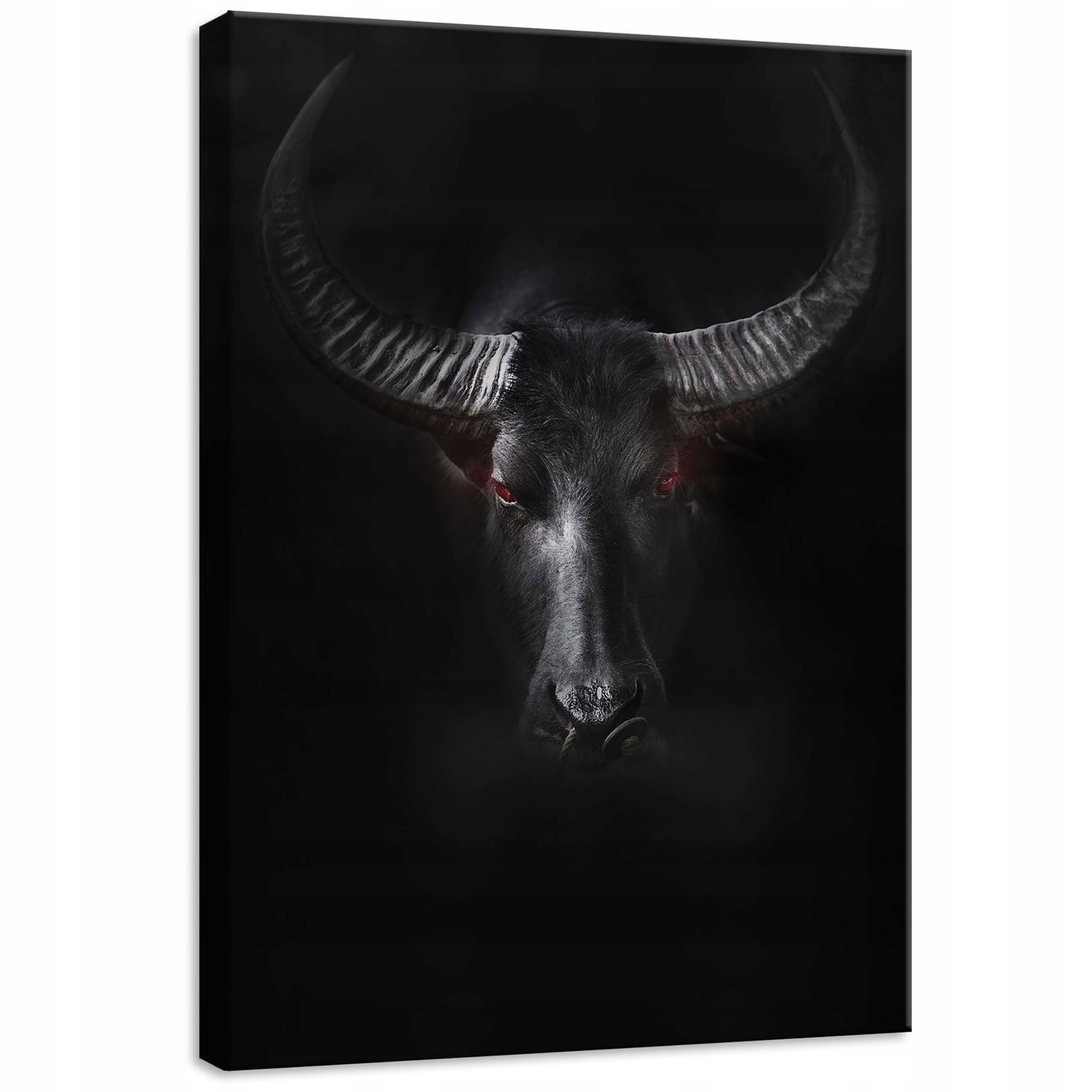 Obraz 50x70 Buvol asijský portrét přiblížení červené oči síla divočáka