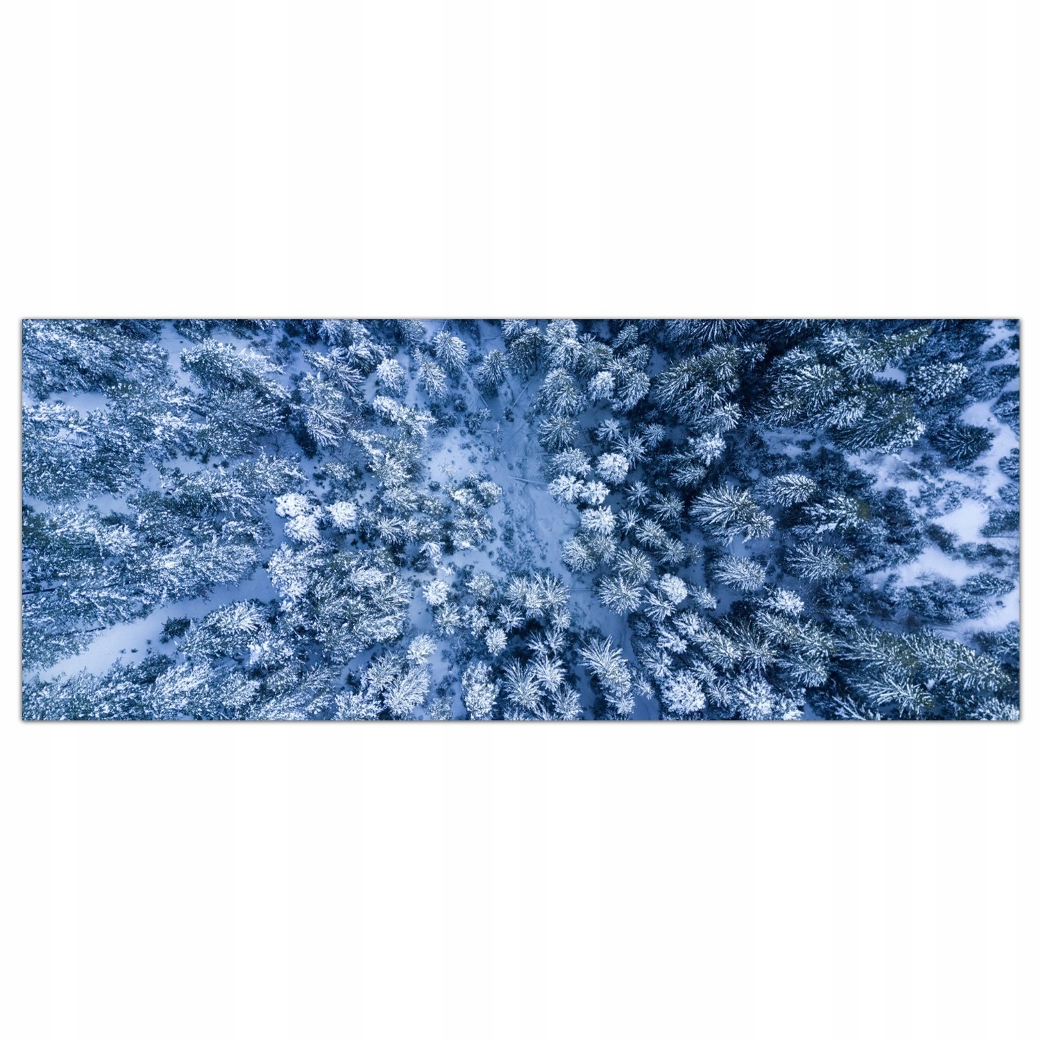 Sníh Zima Les Stromy 125x50 Panel tvrzené sklo