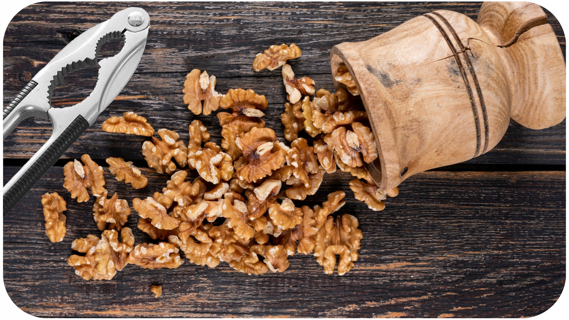 Dziadek Do Orzechów Solidny Mocny EAN (GTIN) 5905718922178