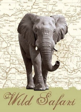 

Dzikie safari (Słoń) - fototapeta 183x254 cm