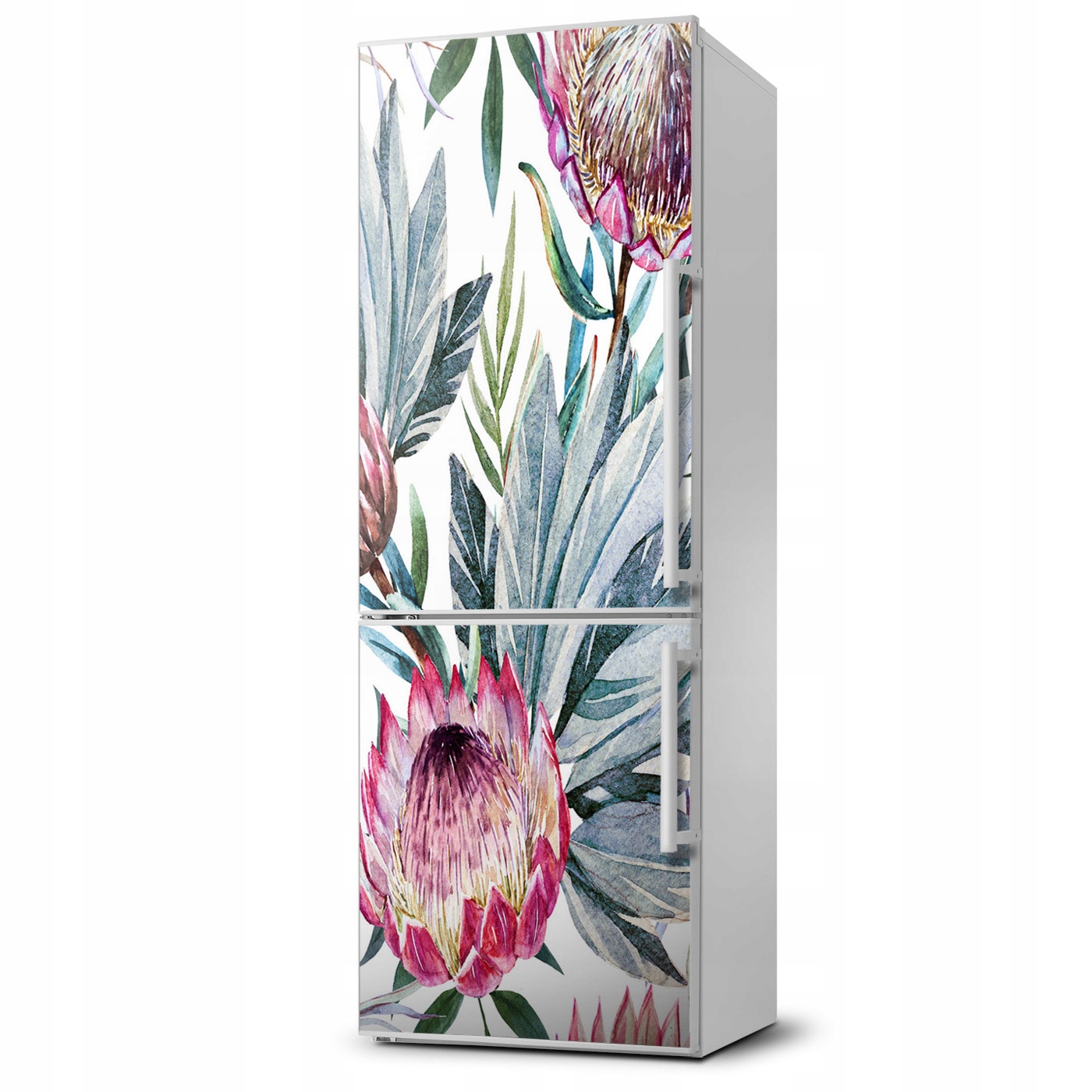

Foto Magnes fototapety na lodówkę Protea 60x180