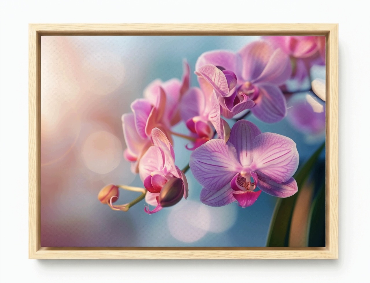Obraz Rám American Box Kvet Orchidea Orchidea Príroda Príroda Zen 80x60