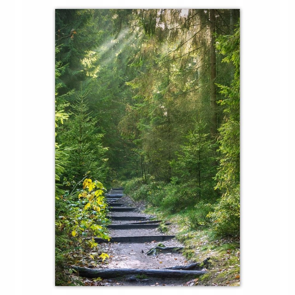 

Plakat 62x93 Pejzaż Krajobraz