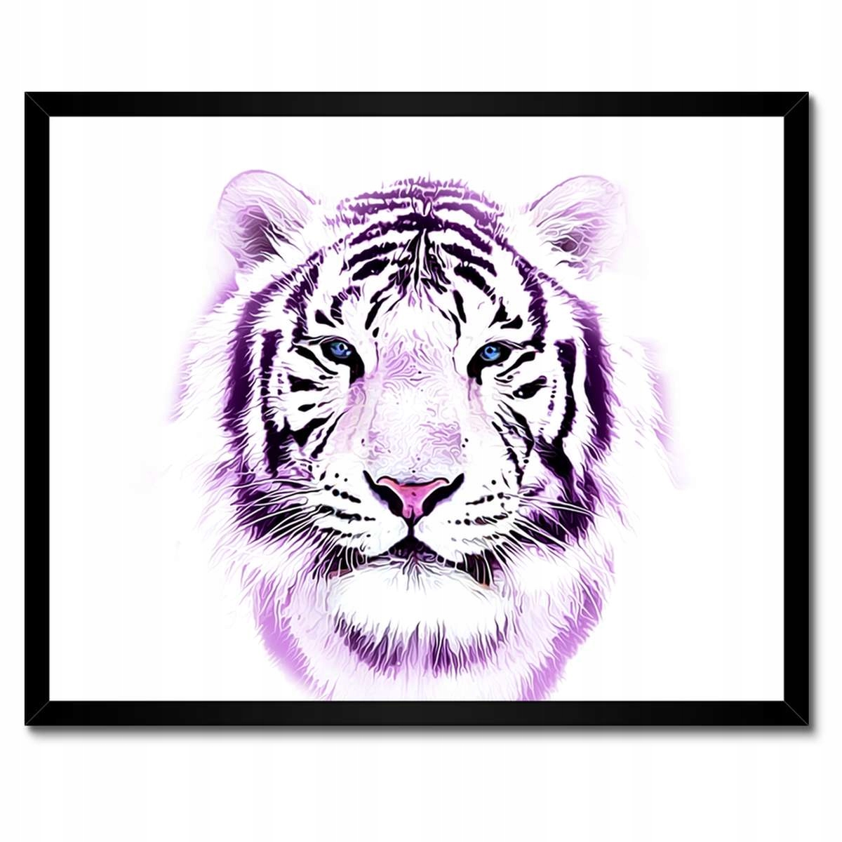 Plakáty v rámu 50x40 Jemná grafika Tygr na bílém pozadí Tiger