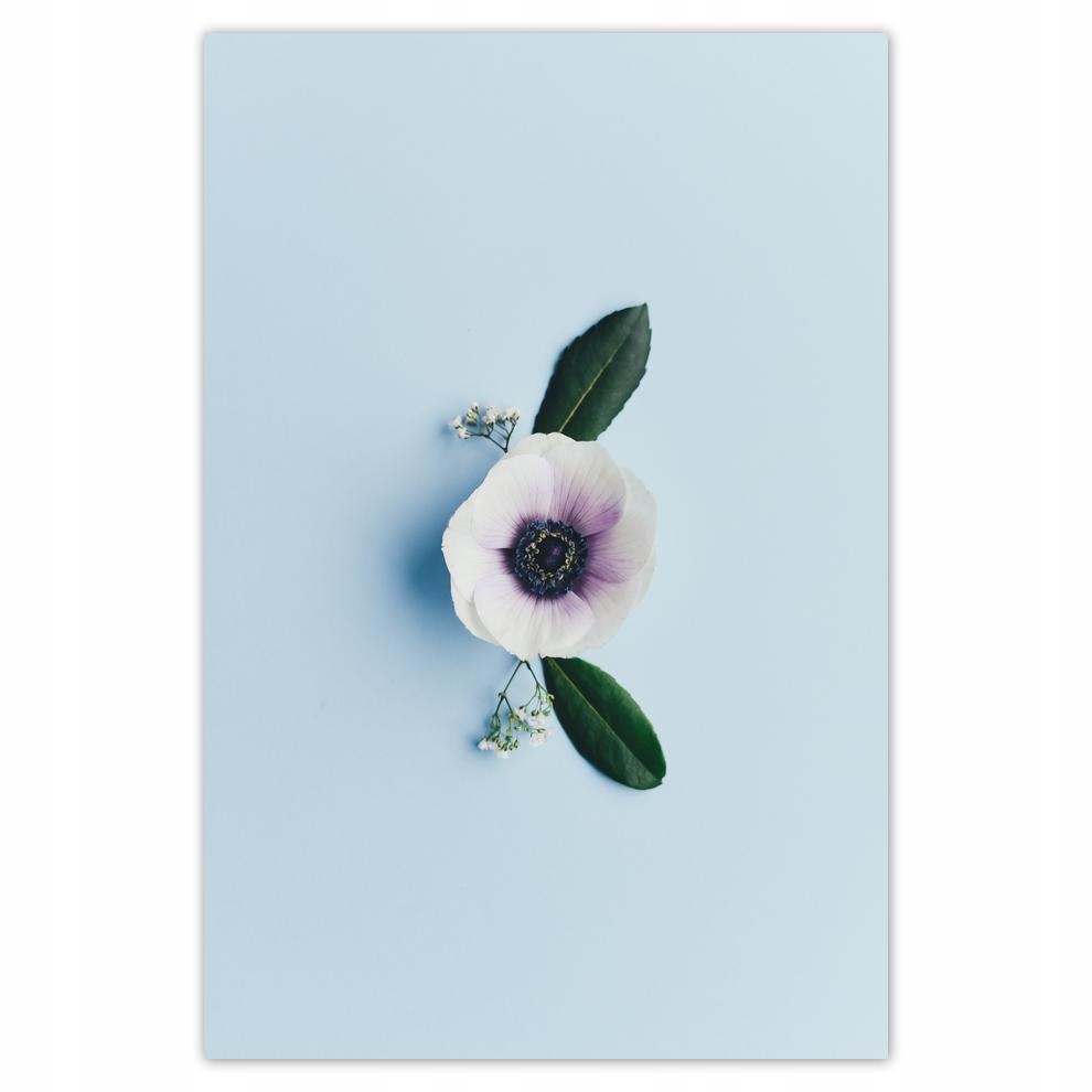 

Plakat 62x93 Samotny kwiat