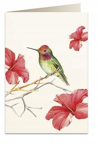 KARNET B6 + KOPERTA 5998 KOLIBER