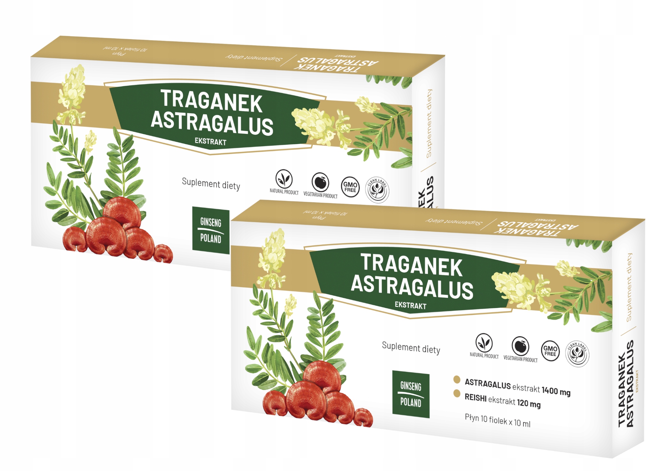 Traganek Astragalus Ekstrakt 10x10ml Ginseng 13624341141 Allegro.pl