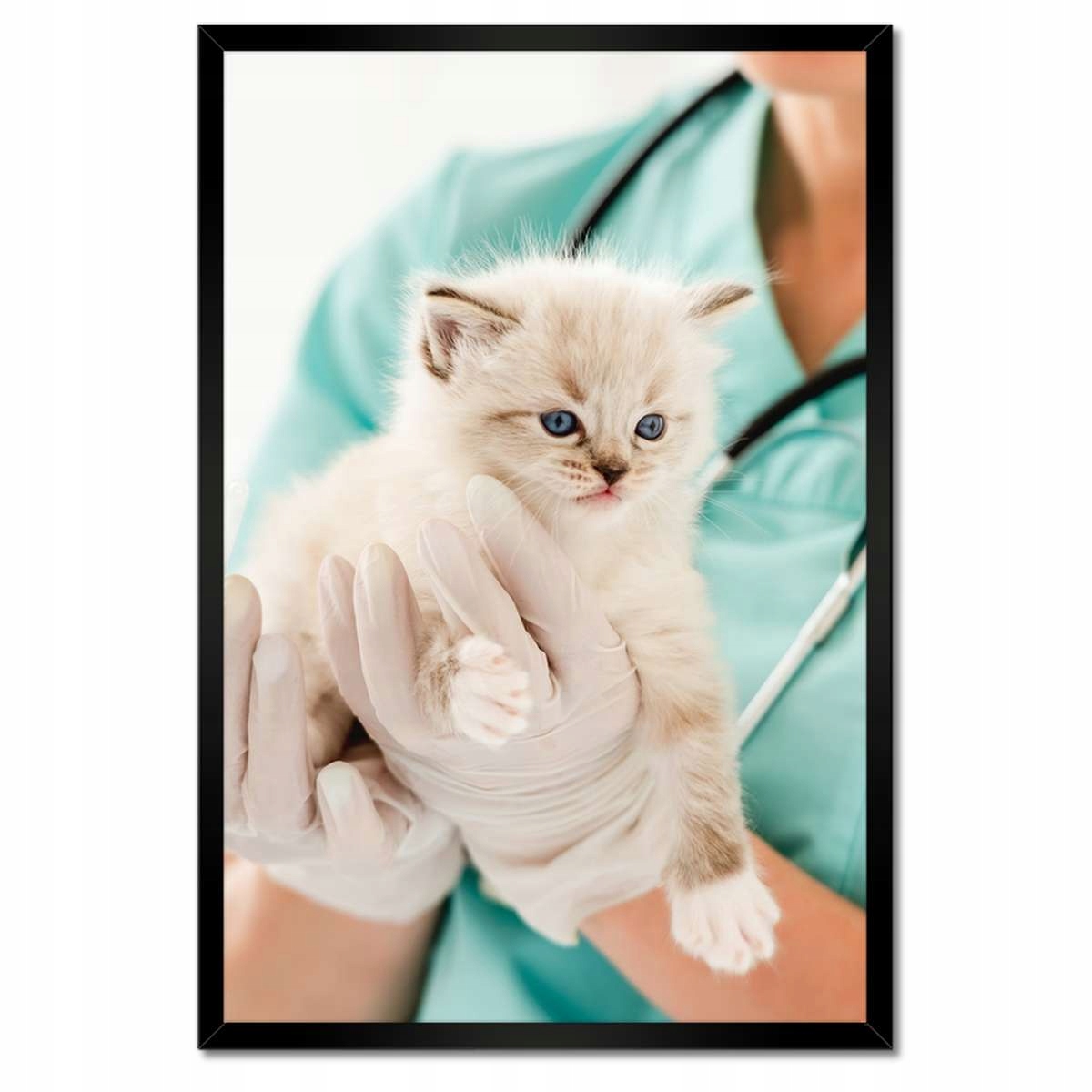 Plakáty v rámu 40x60 Kočička veterinář klinika