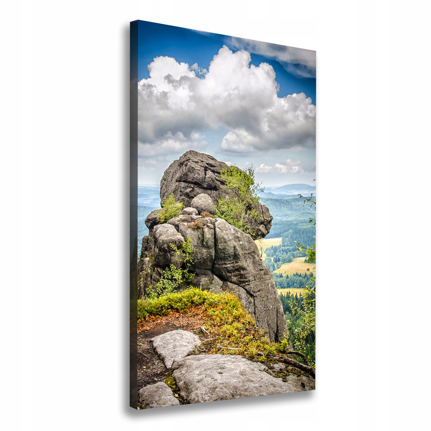 

Foto obraz na płótnie Szczeliniec Wielki 50x100 cm