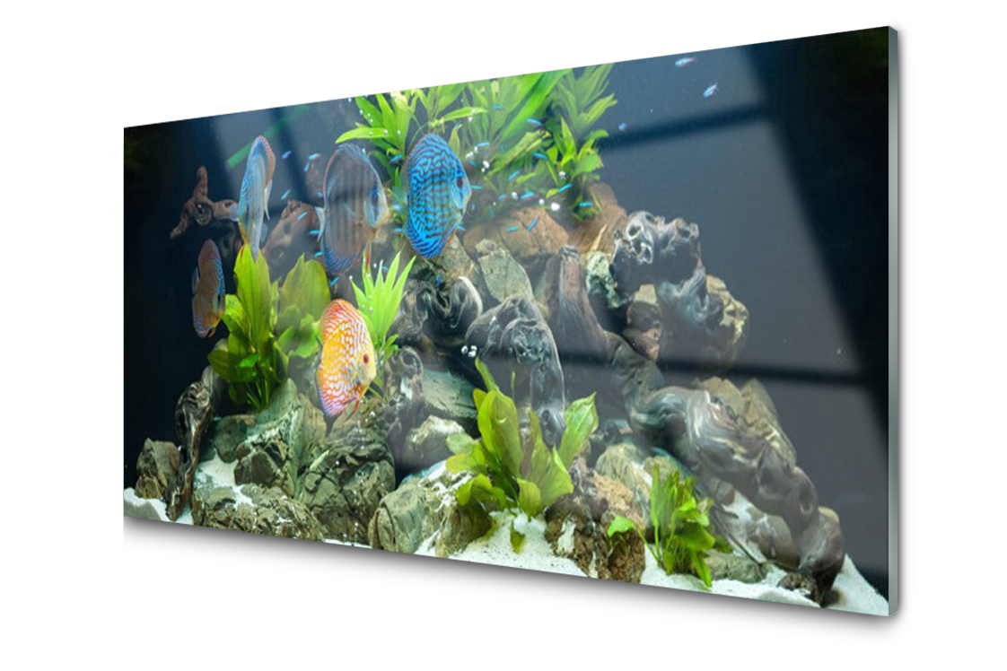 

Panel szklany Płytka Ryba Liście 120x60 + Klej
