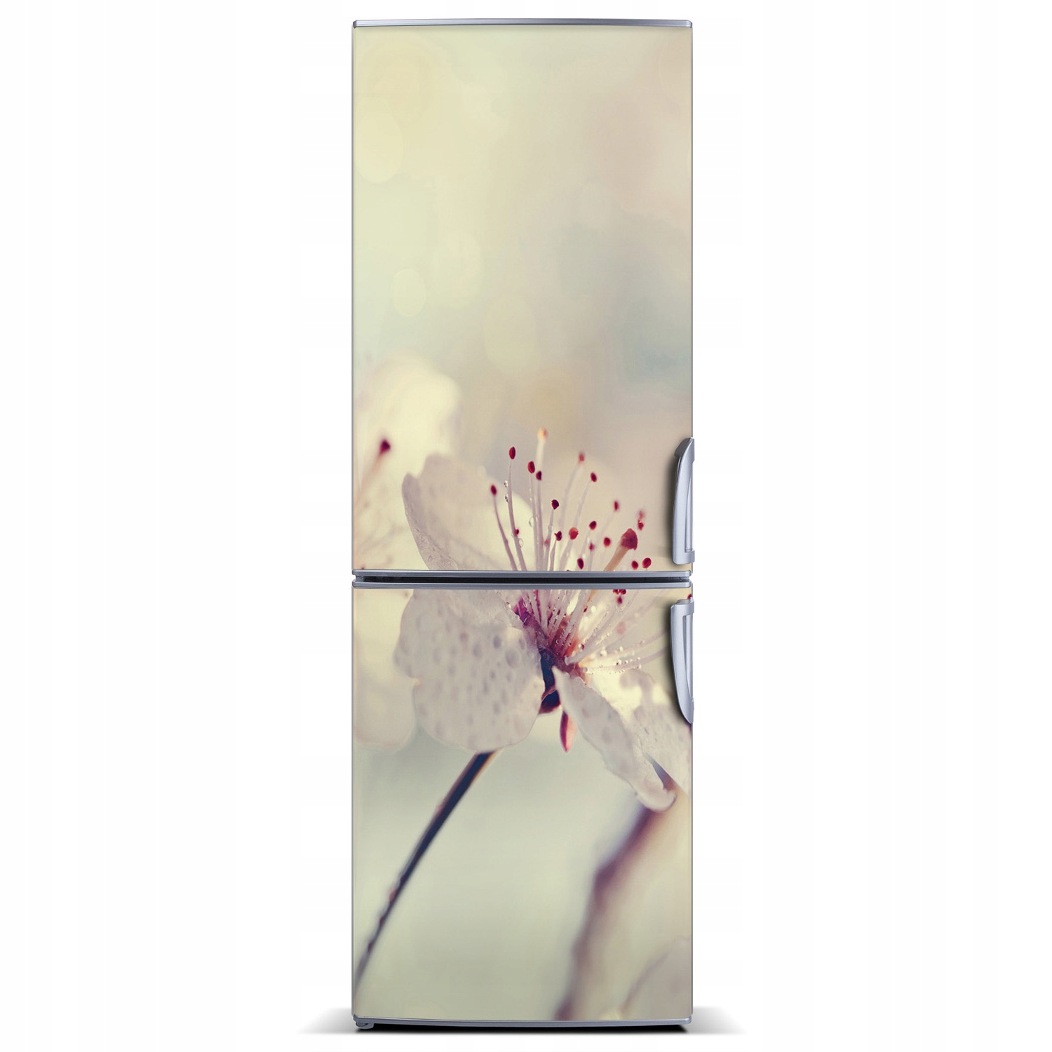 

Naklejka magnetyczna lodówkę Kwiaty wiśni 60x180