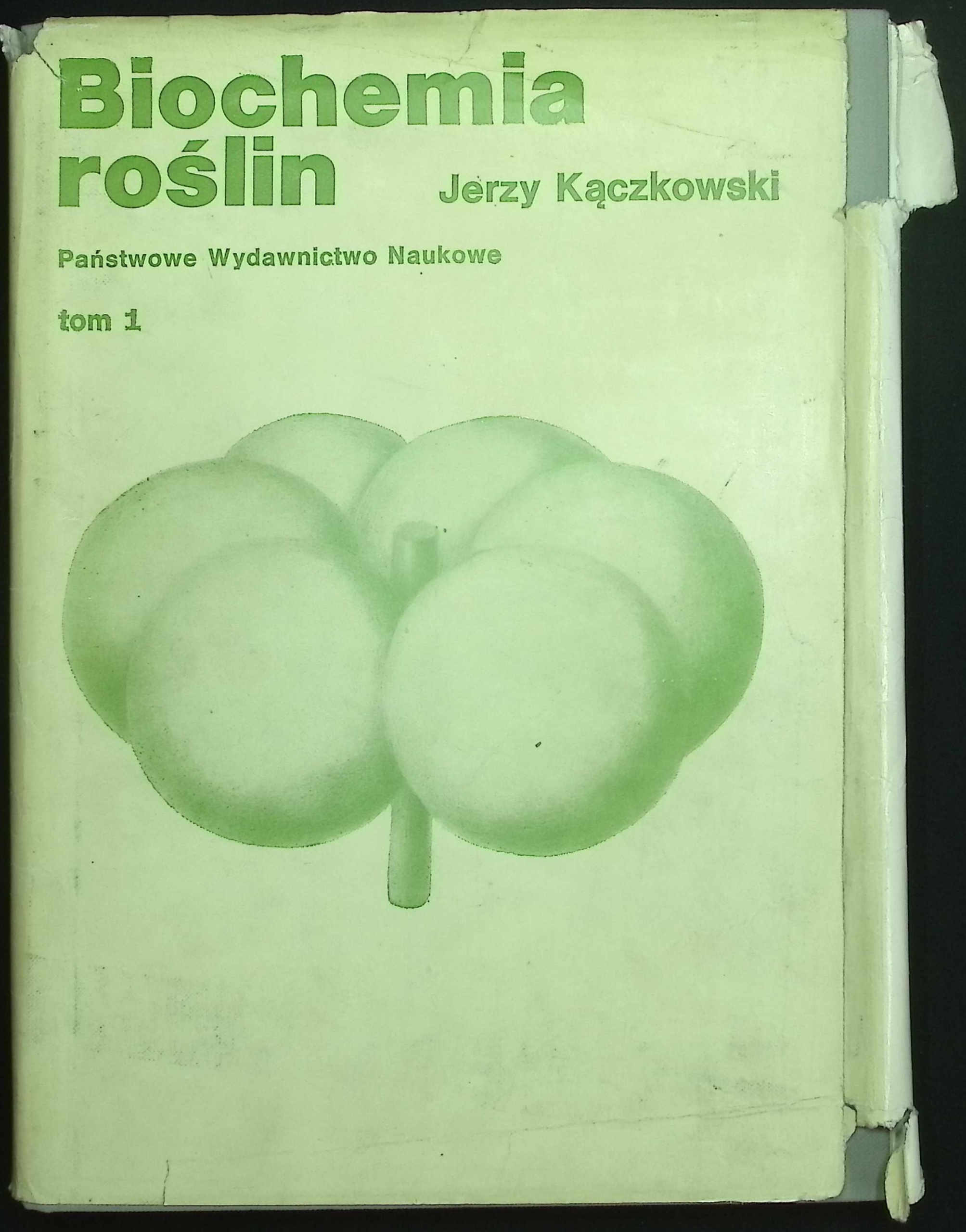 Biochemia roślin tom 1 J.Kączkowski