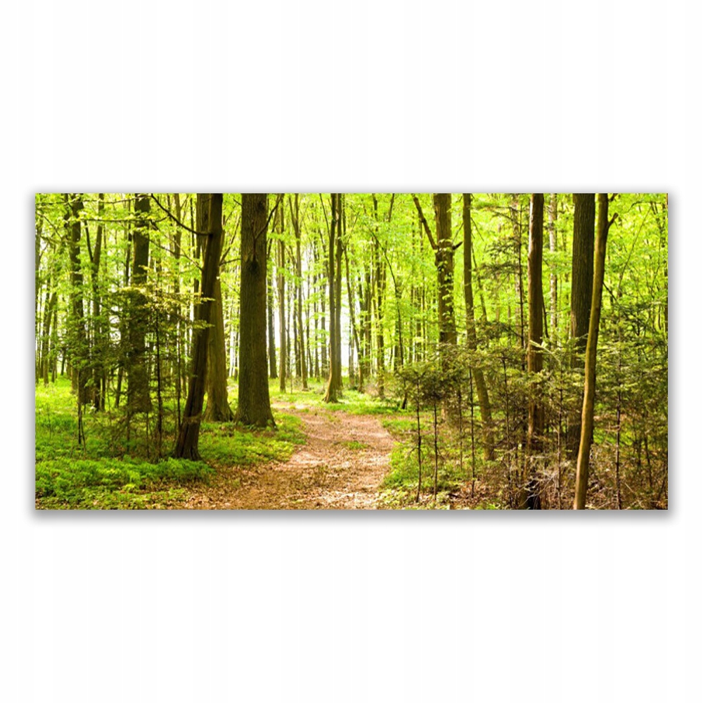 

Obraz akryl z nadrukiem 120x60 Las Ścieżka Natura