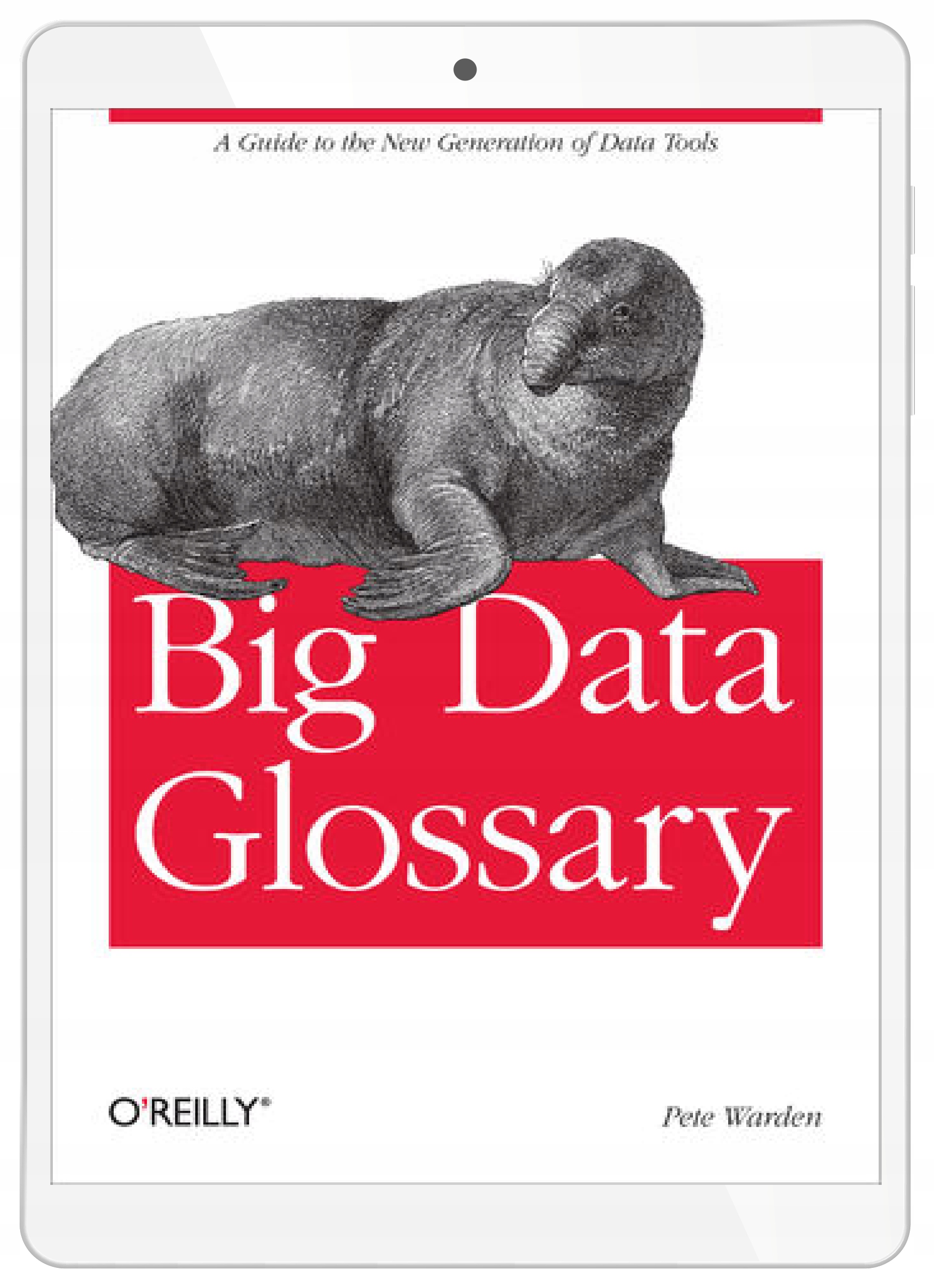 Big Data Glossary. A Guide to the New Generation