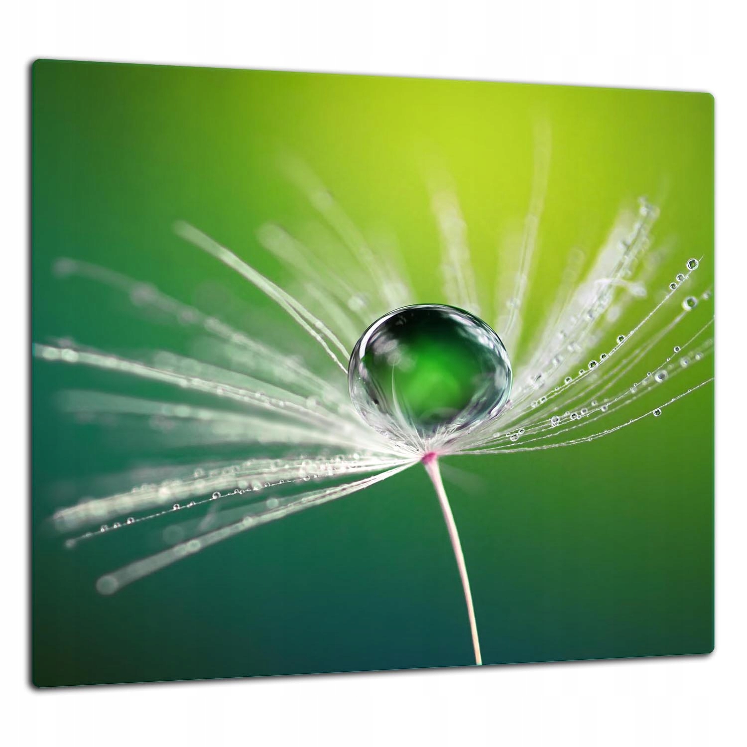 Skleněná Ochranná Deska Panel Lepidlo 65x60 Květina