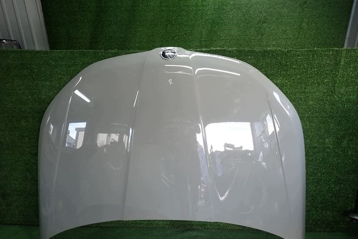 SKODA KODIAQ 16-21 Capot