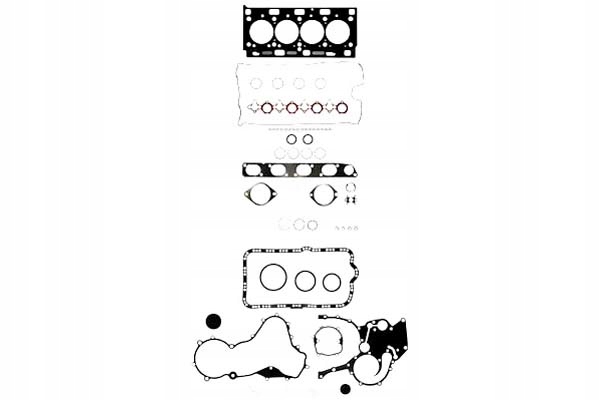 AJUSA ZESTAW USZCZELEK CAŁY RENAULT ESPACE IV 06- Producent części Ajusa