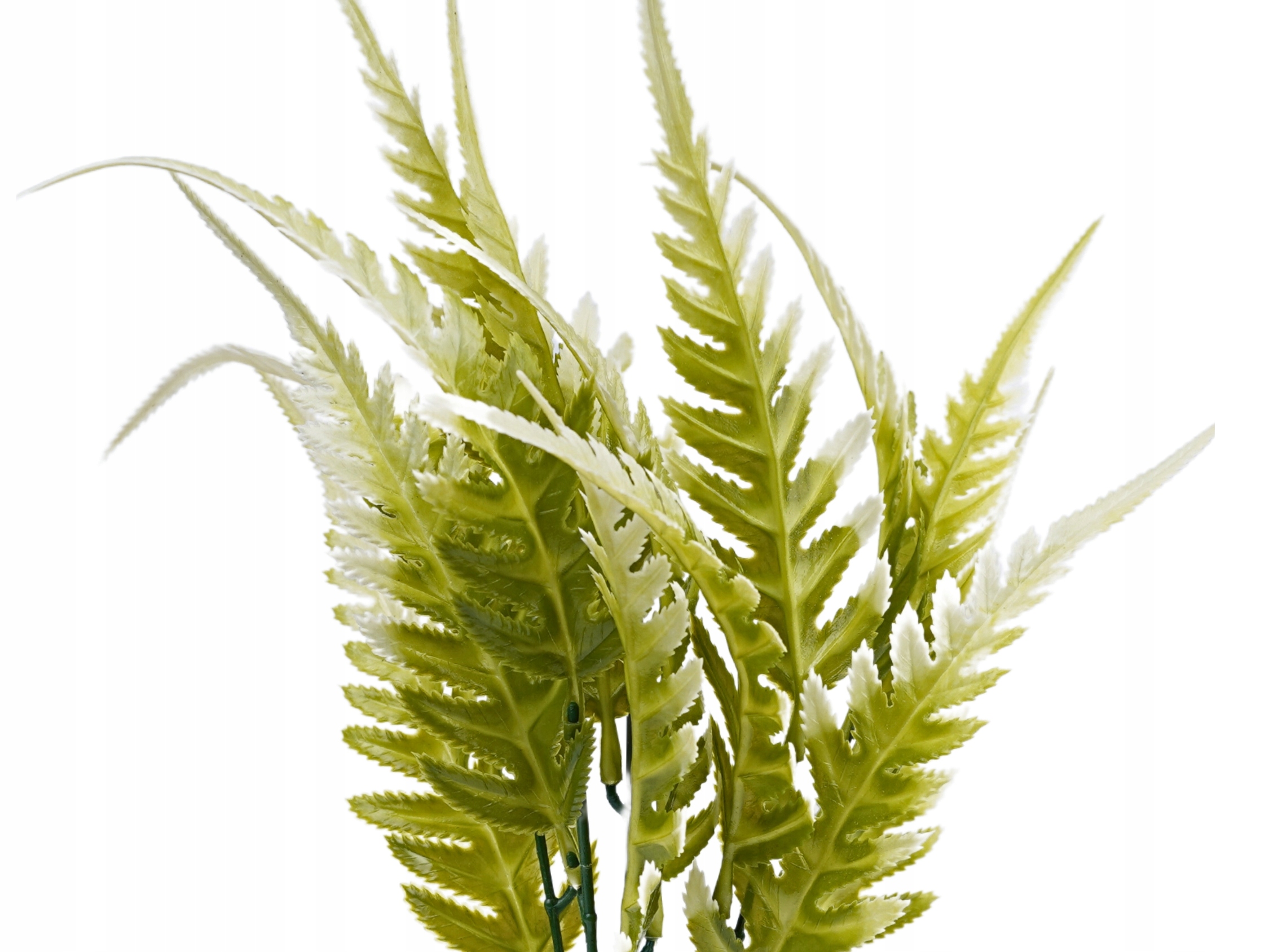 LIŚCIE PAPROCI SZTUCZNA PAPROĆ GAŁĄZKA DODATEK Stan opakowania oryginalne