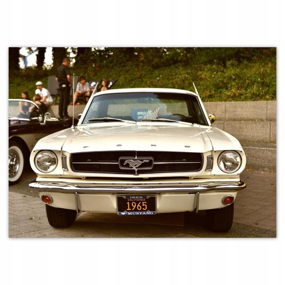 

Naklejki 70x50 Ford Mustang Samochód Usa