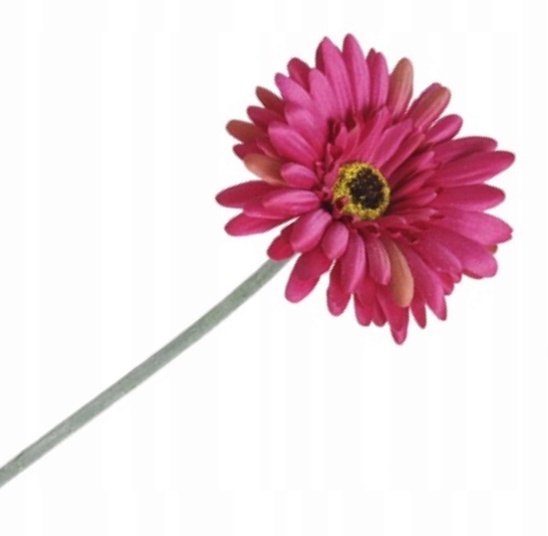 

Gałązka Gerbera Fuksja 54cm