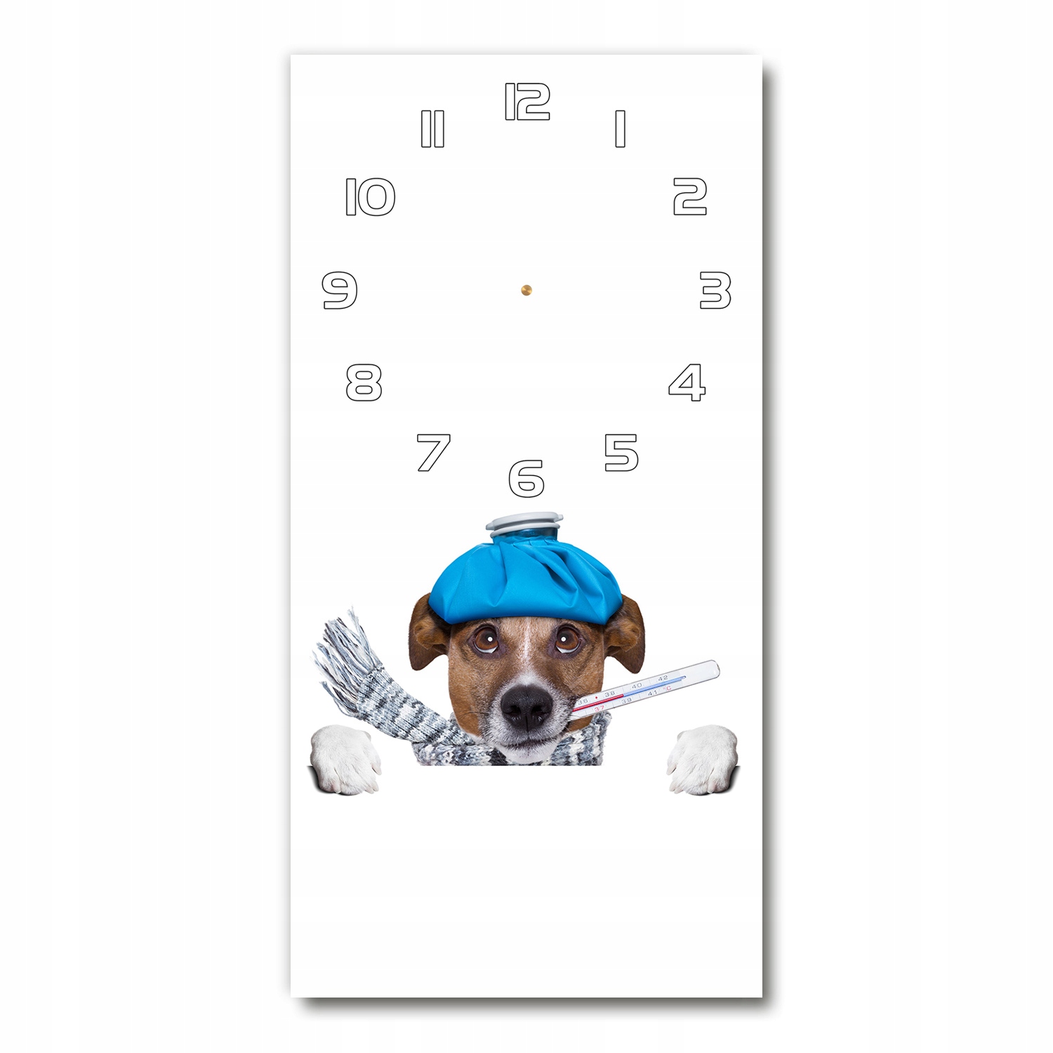 

Nowoczesny zegar szklany Chory pies 30x60 pionowy