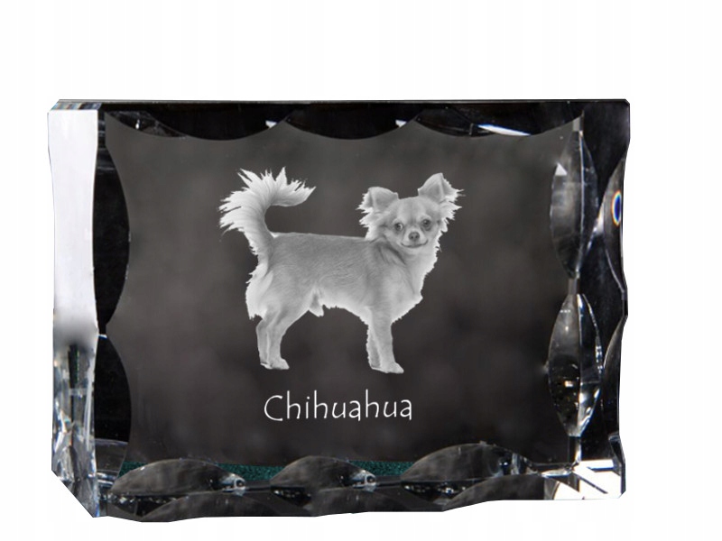 Chihuahua dlhosrstý obrázok psa v ozdobnom kryštáli, suvenír, dekorácia