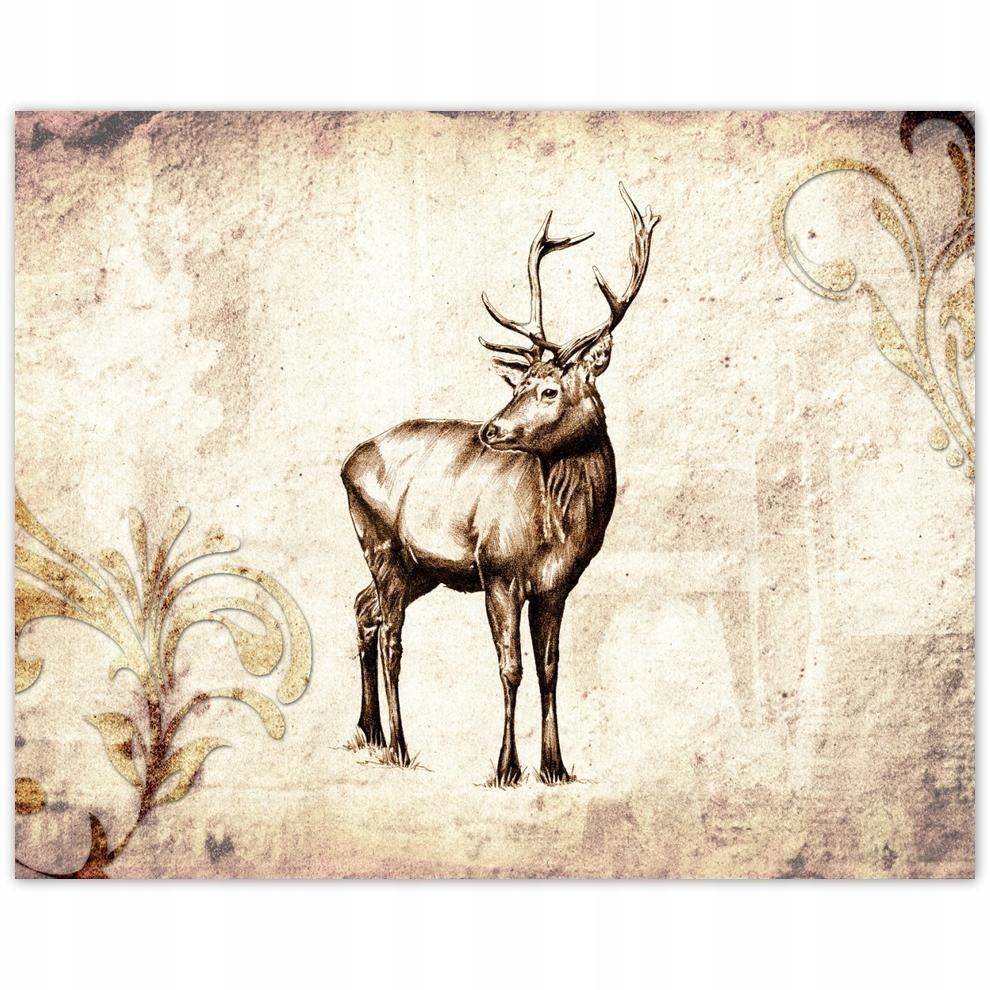 

Plakat 50x40 Jeleń