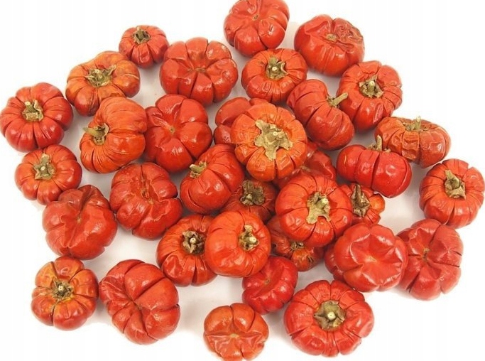 

5x Dynie Dekoracyjne Naturalne Ozdobne Halloween
