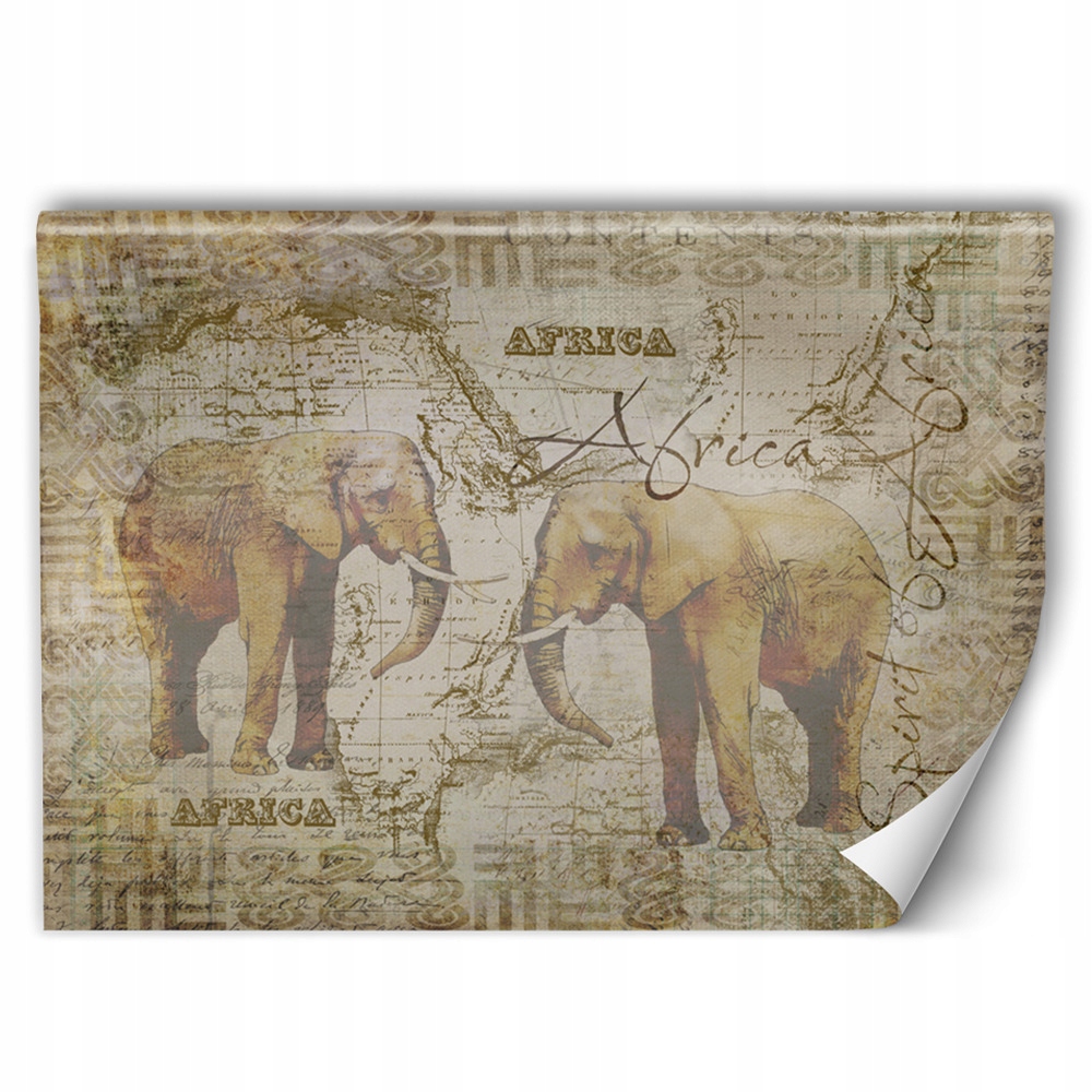 

Fototapeta Afrykańska Do Sypialni Salonu 200x134