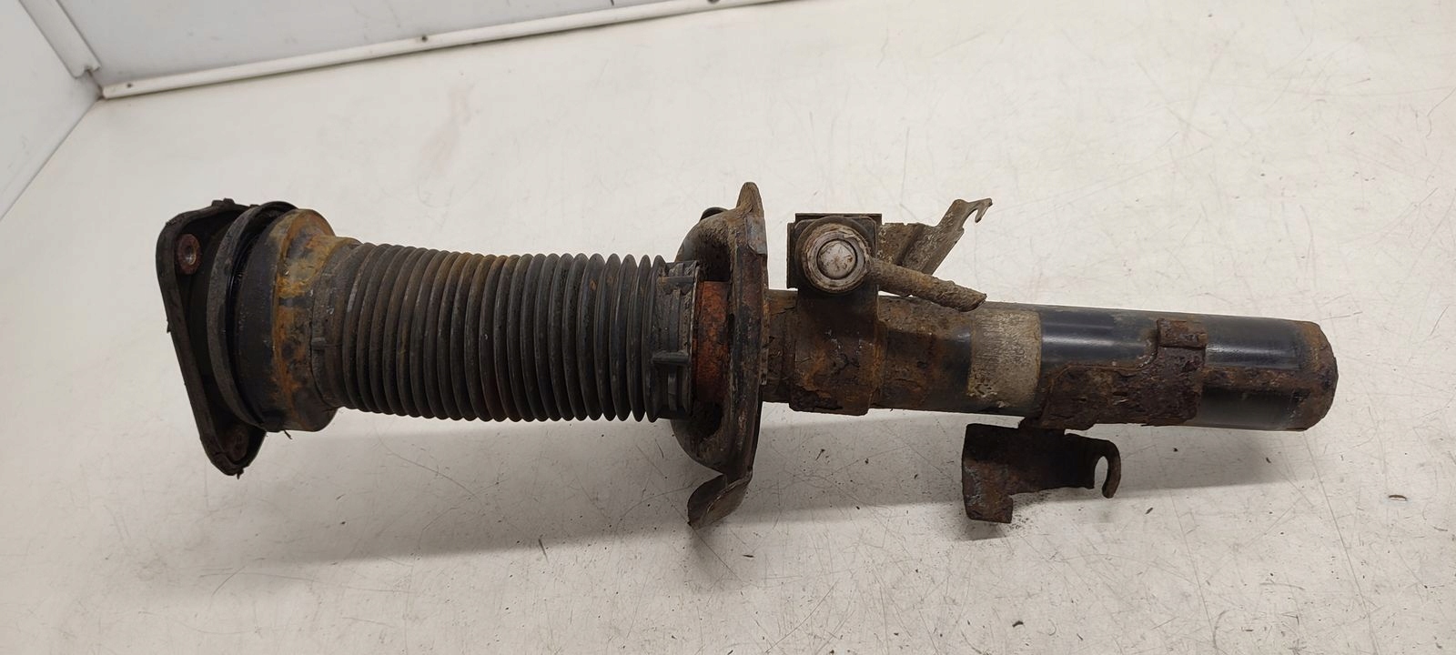 shock absorber front front Ford C-MAX