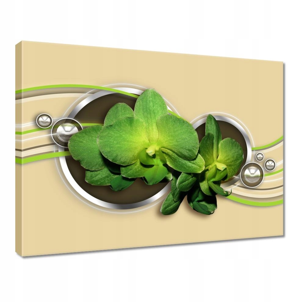 

Obrazy 40x30 Zielona orchidea
