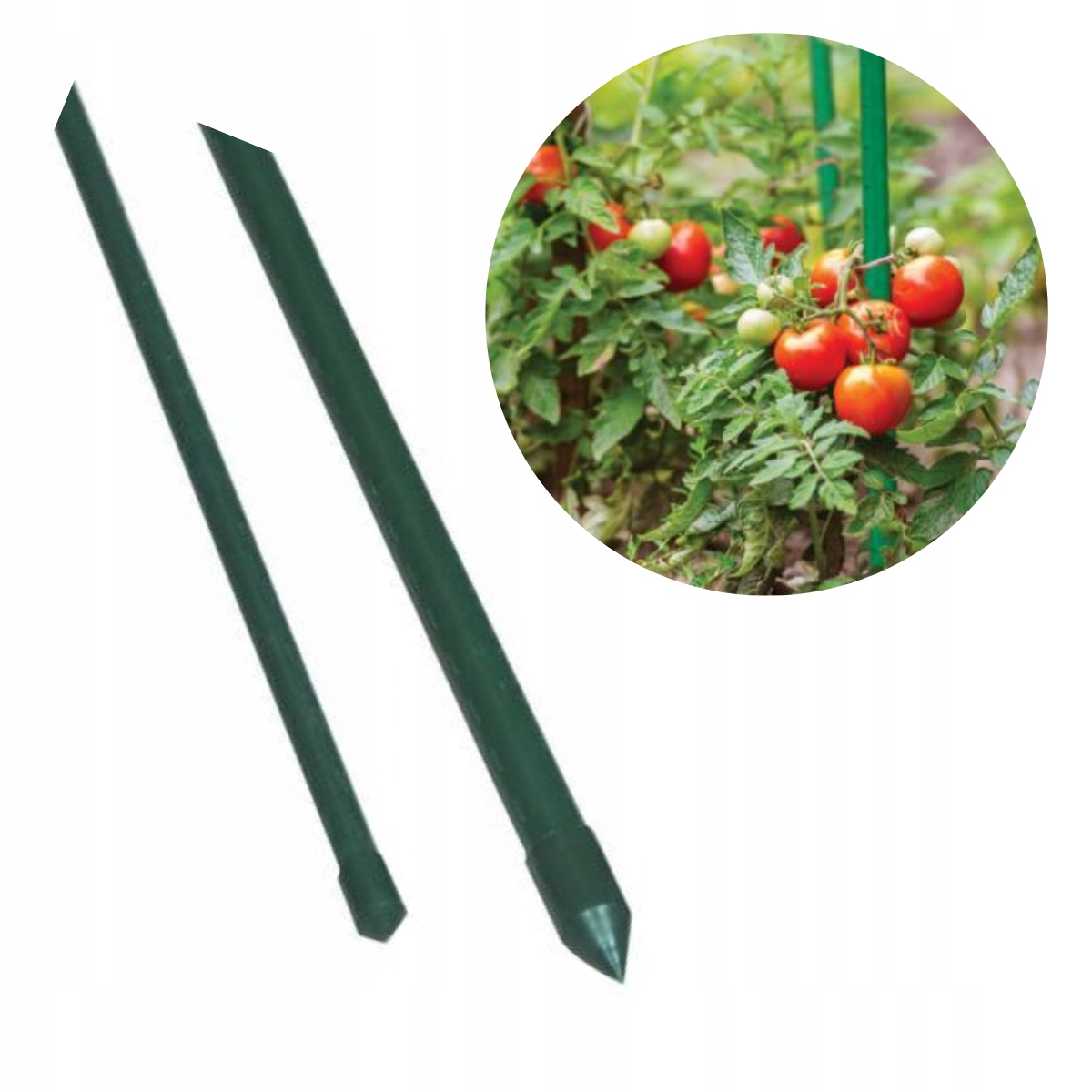 

Tyczka Podpora Palik Do Pomidora Warzyw Fi11 90cm