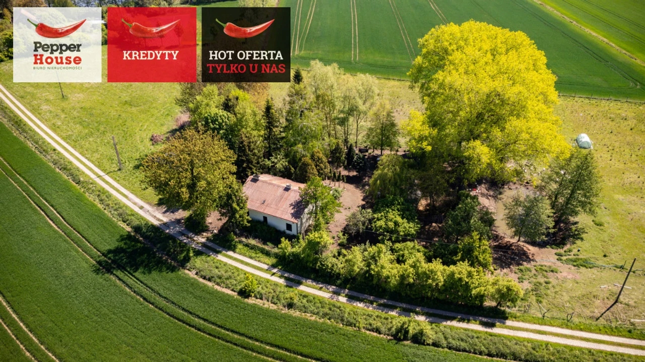 Dom, Świerznica, Stegna, Nowodworski, 216 m²