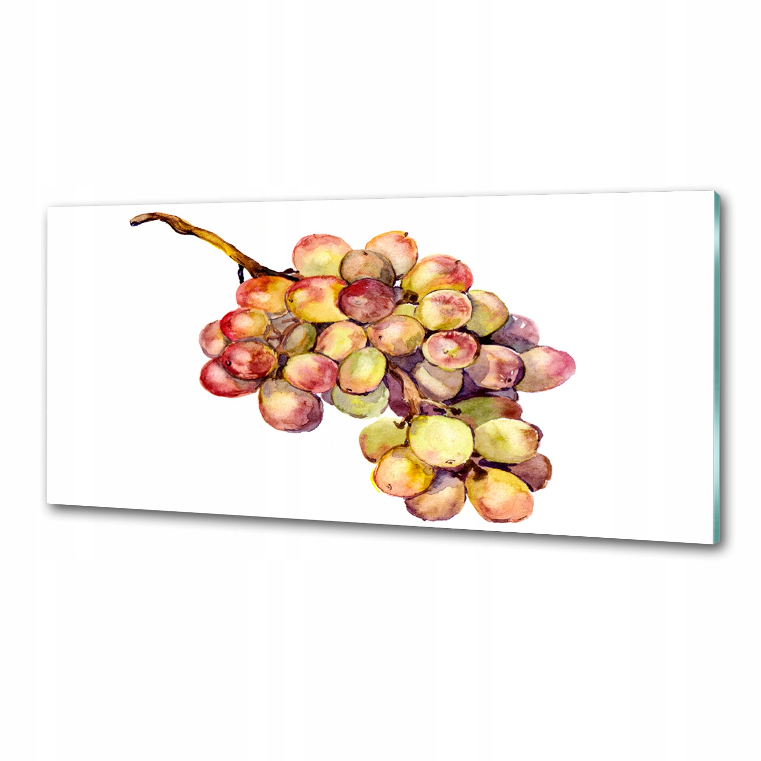 Panel do kuchyne Hroznový kys 125 x 50 cm Lepidlo