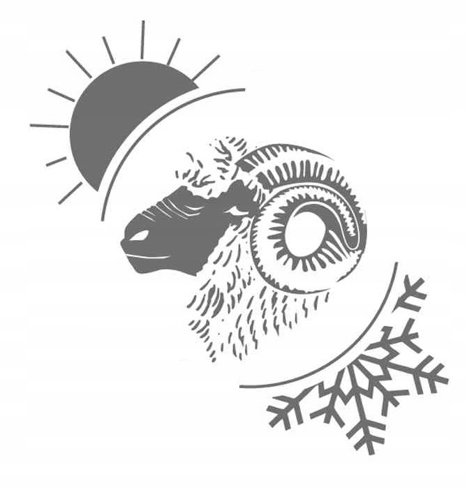 BRUBECK BIELIZNA TERMOAKTYWNA KOMPLET MĘSKI EXTREME WOOL WEŁNA MERINO | 2XL Materiał dominujący Wełna Merino