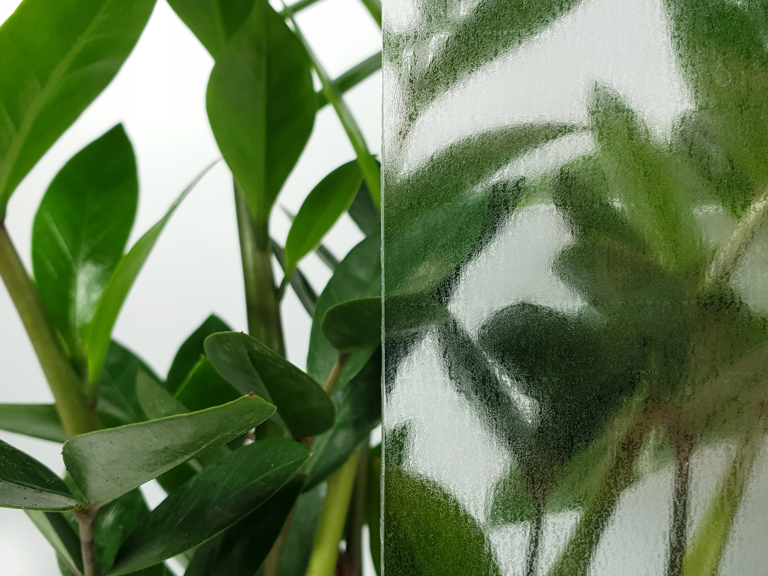 Folia Okienna Do Renowacji Szklanych Elementów DIY Marka DecoMeister