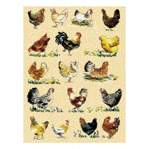

Papier do decoupage Kury i koguty 30 x 40 cm. FDA5