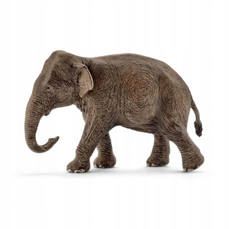 

Schleich Słoń Azjatycki Samica 14753