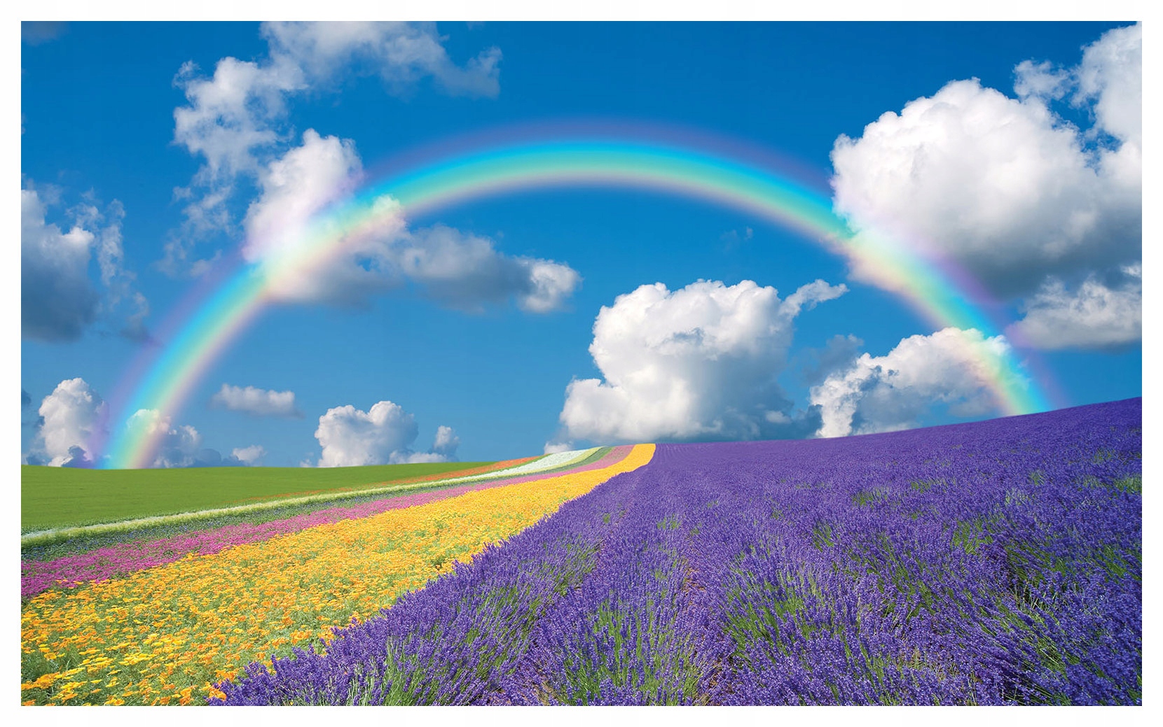 Fototapeta Dúha nad lúkou vinylová, jemné farby prírody 312x219 lepidlo