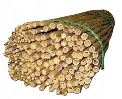 Bambusové tyčky Délka 75 cm Ø 8-10 mm Balení 500 Kusů Ekologické