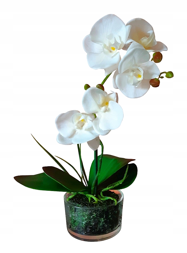 

Storczyk Sztuczny silikonowy w doniczce Orchidea