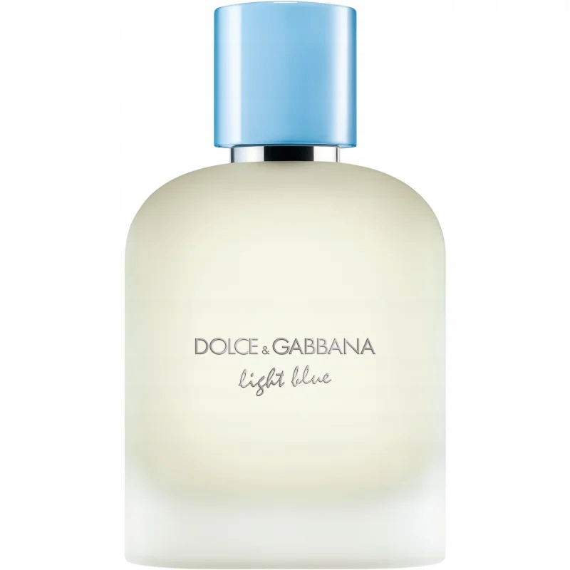Dolce & Gabbana Light Blue pour Homme Toaletní voda 100 ml