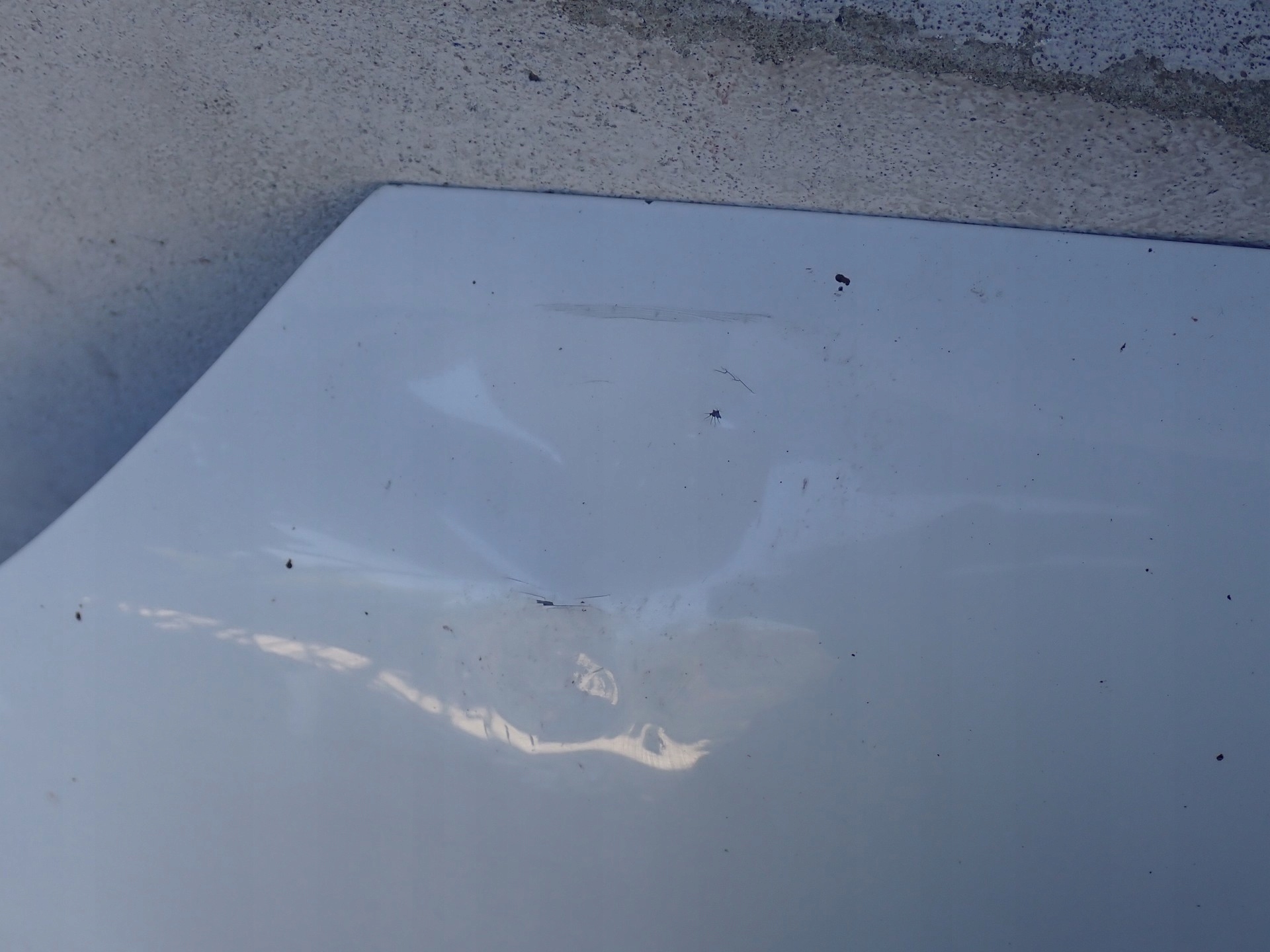 COFANO PEUGEOT 208 1 E CA 2012-2019R 9803656980