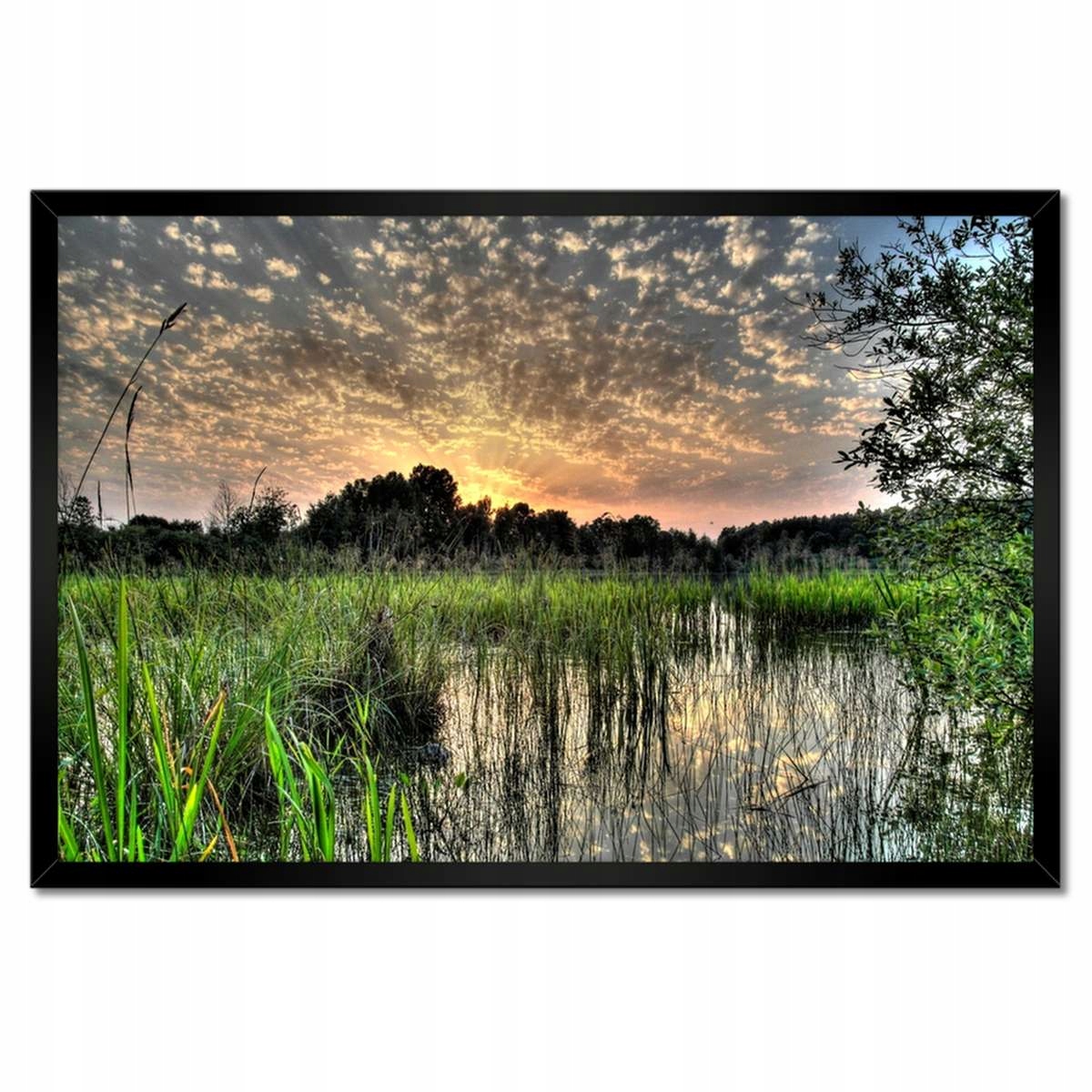 Plakáty v rámu 60x40 Mokřad