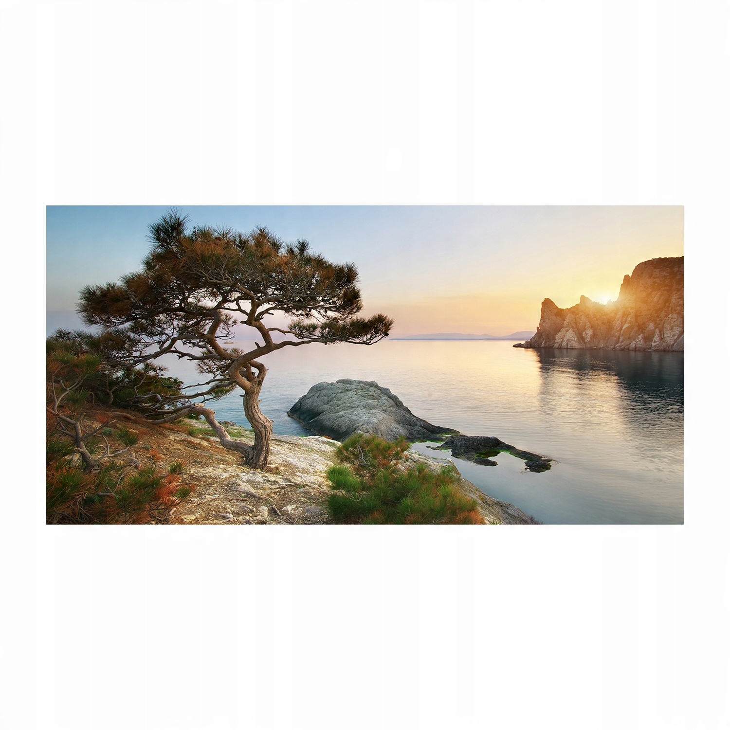 

Foto obraz szkło akryl Drzewo nad morzem 120X60 cm