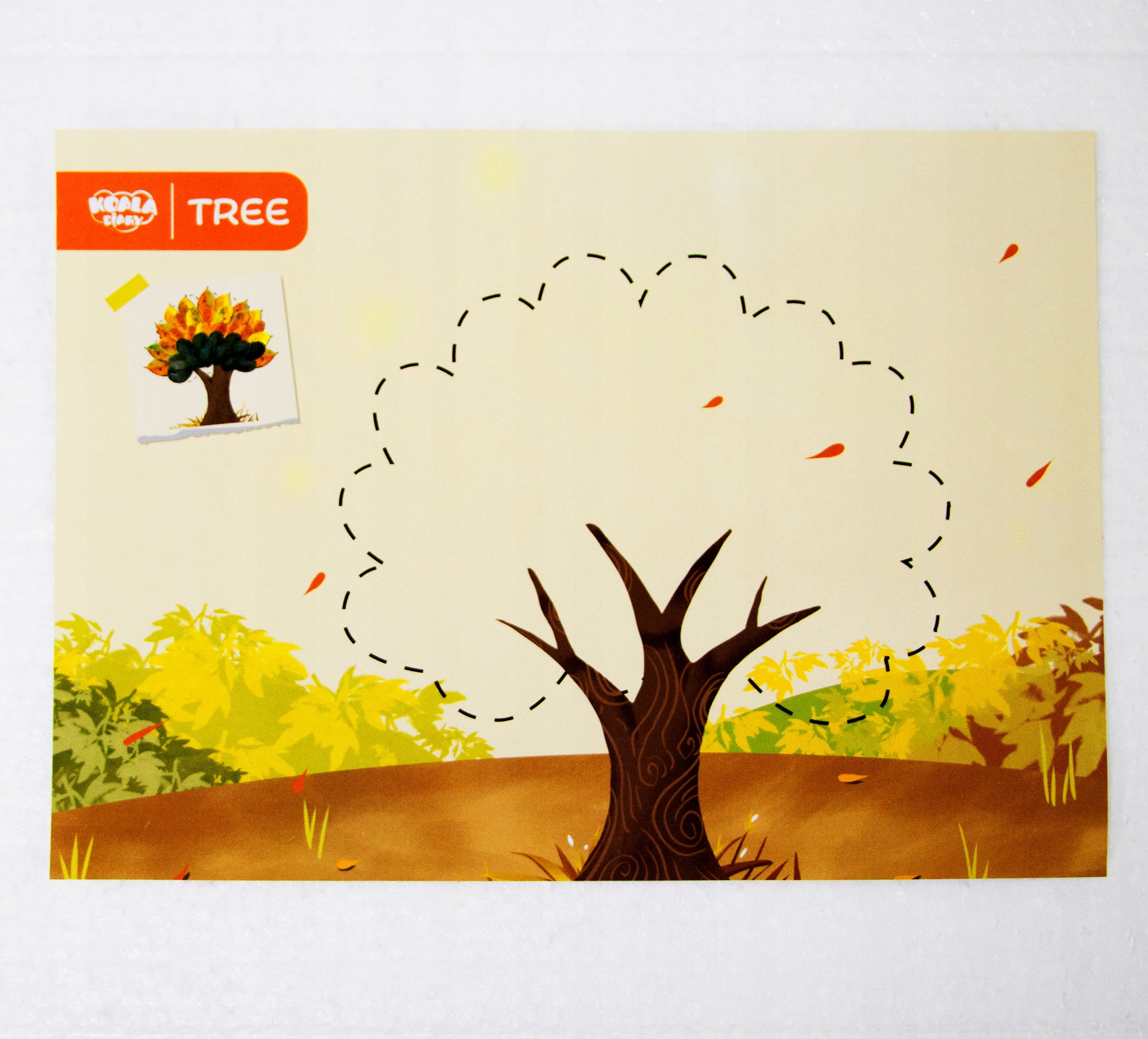 Zestaw małego Odkrywcy Podróżnika Przyrodnika Biologa Rodzaj mały biolog