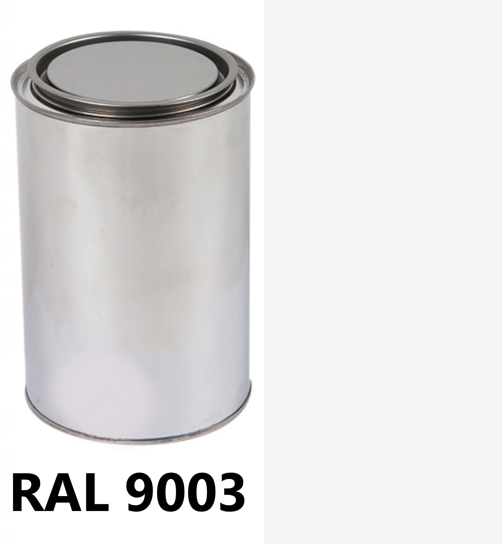 Ral 9003 Mat 05-08% Gruntoemalia 2W1 Poliuretanowa 2:1 1L