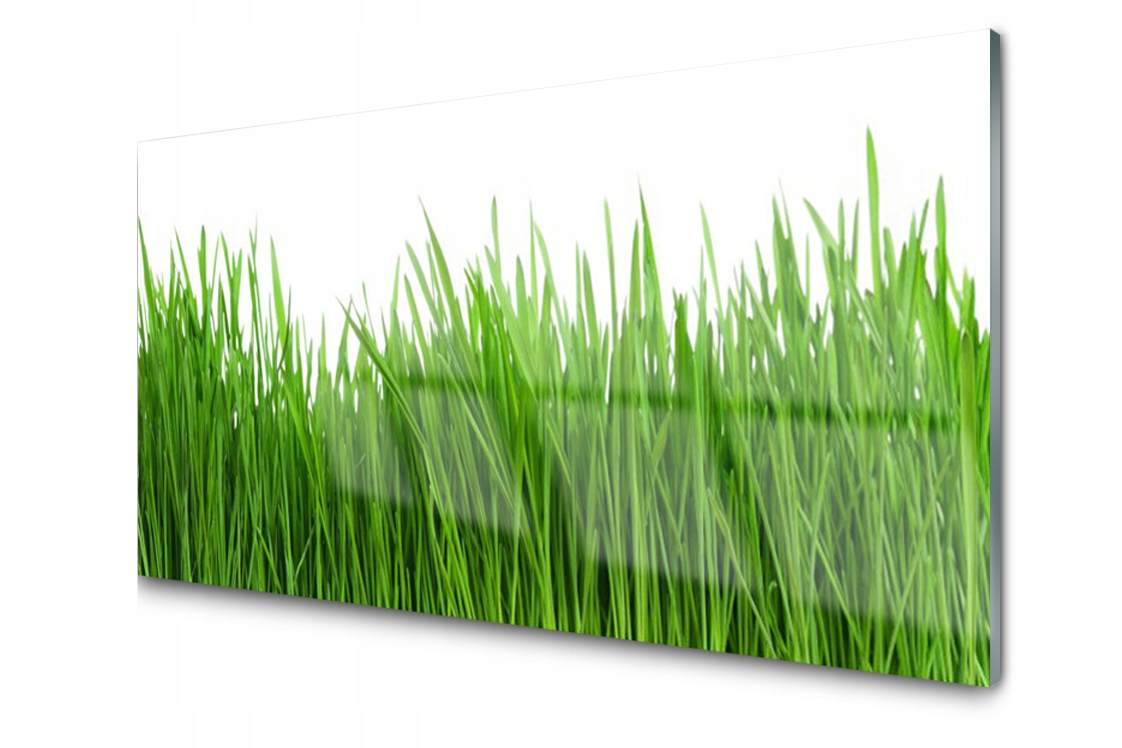 Dekoratívny sklenený panel Tráva Rastlina 100x50