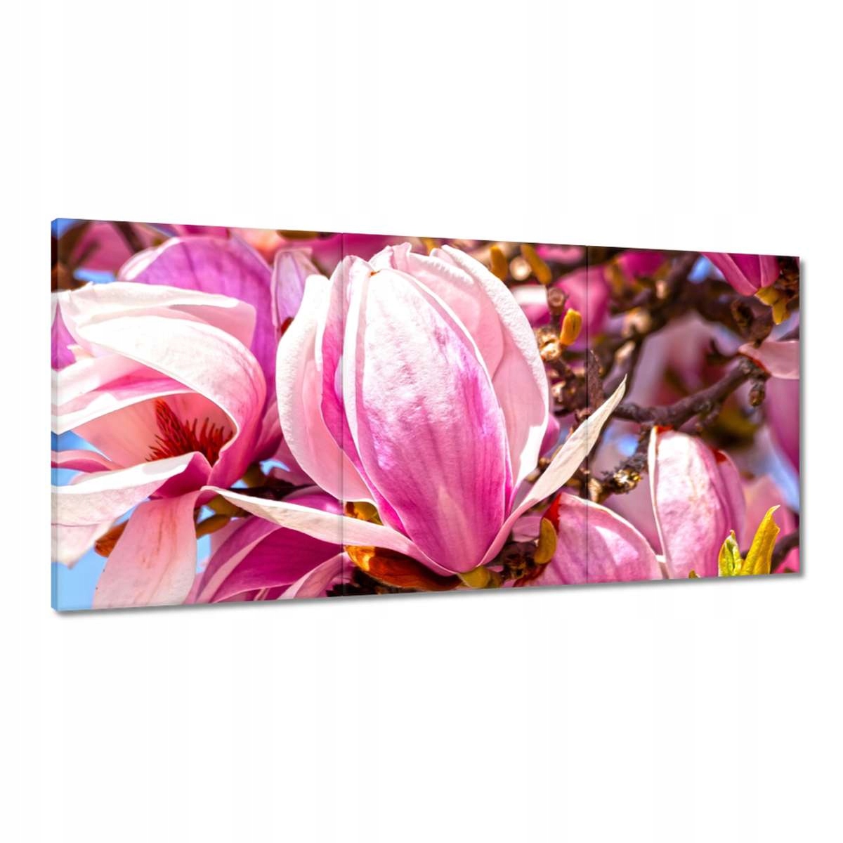 Obrazy 180x90 Kvietky Kvety Kvetinky